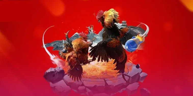 Đá Gà 79King: Tìm Hiểu Sân Chơi Giải Trí Đỉnh Cao 2024 1 Đá Gà 79King: Tìm Hiểu Sân Chơi Giải Trí Đỉnh Cao 2024